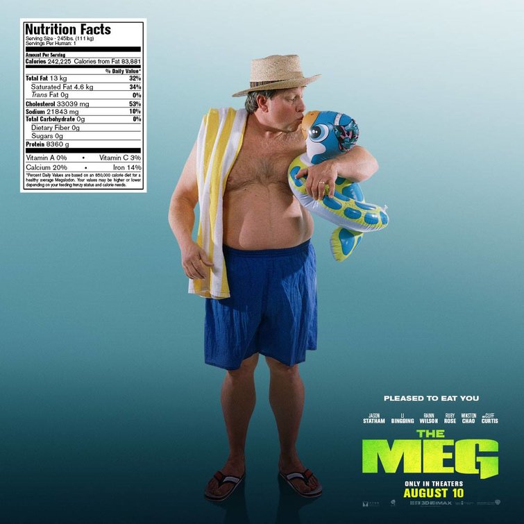 1000 piece jigsaw puzzle for the movie poster: The Meg (2018) ver23