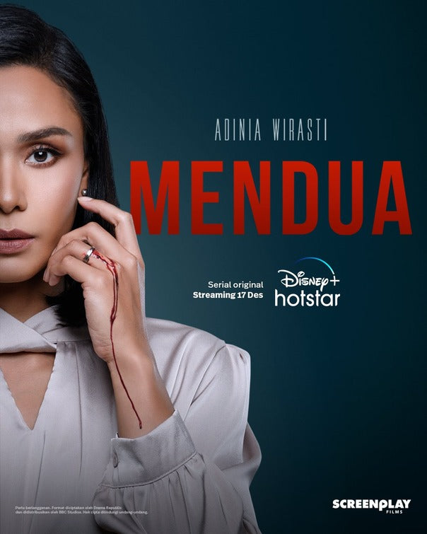 1000 piece jigsaw puzzle for tv poster: Mendua