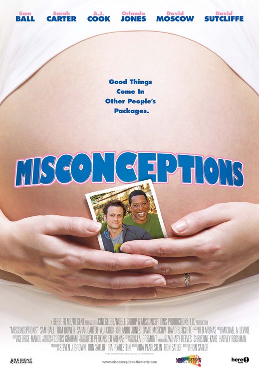 1000 piece jigsaw puzzle for the movie poster: Misconceptions (2009)