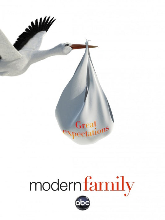 1000 piece jigsaw puzzle for tv poster: Modern Family, ver5