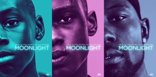 1000 piece jigsaw puzzle for the movie poster: Moonlight (2016)