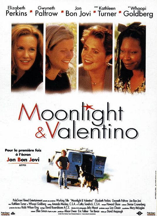 the movie poster: Moonlight And Valentino (1995) ver2
