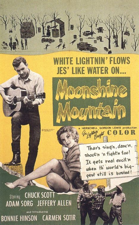 the movie poster: Moonshine Mountain (1964)