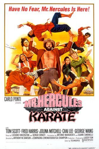 the movie poster: Mr. Hercules Against Karate (1973)