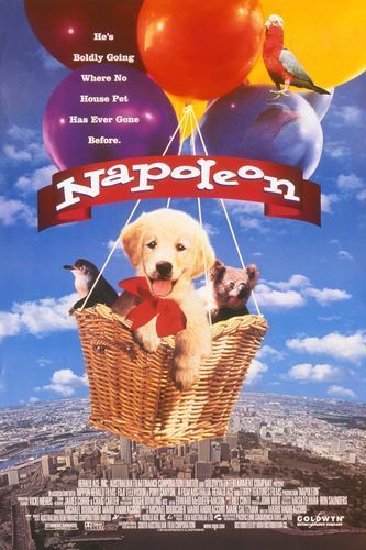 the movie poster: Napoleon (1997)