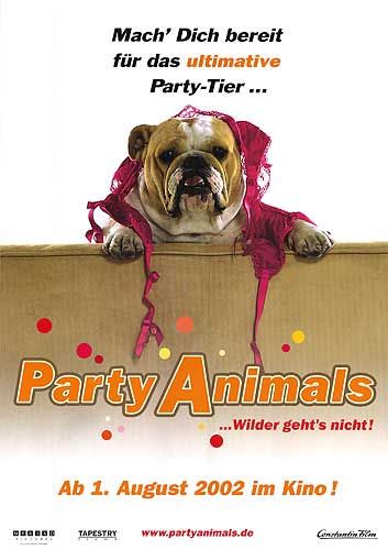 the movie poster: National Lampoon's Van Wilder (2002) ver5