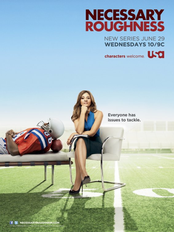 1000 piece jigsaw puzzle for tv poster: Necessary Roughness