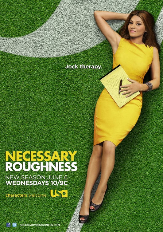 1000 piece jigsaw puzzle for tv poster: Necessary Roughness, ver2