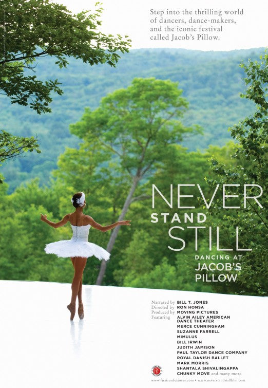 1000 piece jigsaw puzzle for the movie poster: Never Stand Still (2012)