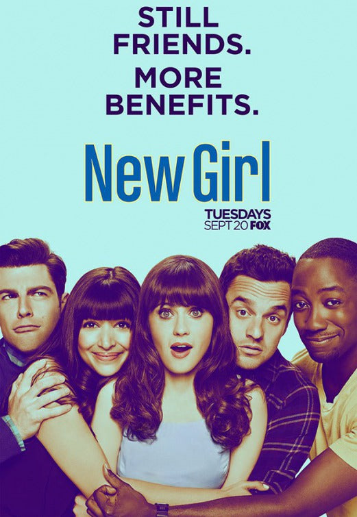 1000 piece jigsaw puzzle for tv poster: New Girl, ver8