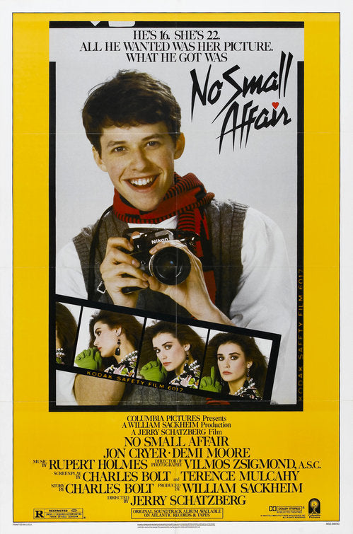 the movie poster: No Small Affair (1984)