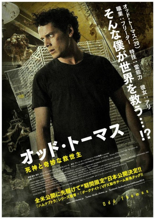 1000 piece jigsaw puzzle for the movie poster: Odd Thomas (2013) ver5