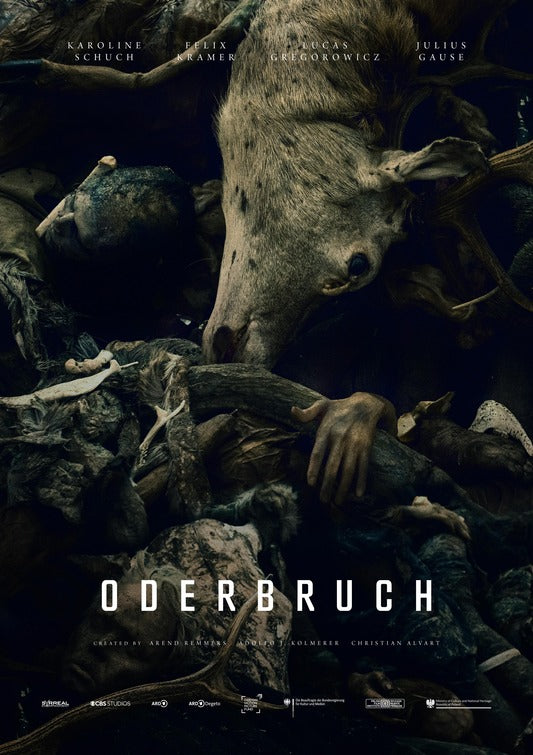 1000 piece jigsaw puzzle for tv poster: Oderbruch