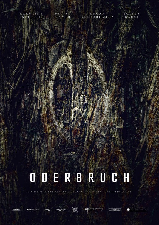 1000 piece jigsaw puzzle for tv poster: Oderbruch, ver2