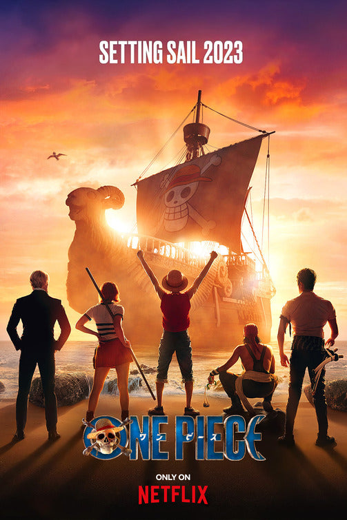 1000 piece jigsaw puzzle for tv poster: One Piece, ver2
