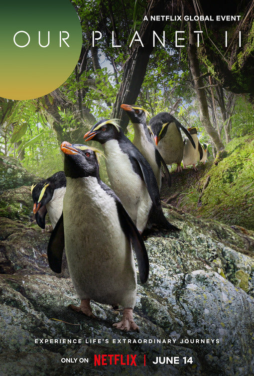 1000 piece jigsaw puzzle for tv poster: Our Planet, ver6