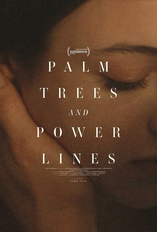 1000 piece jigsaw puzzle for the movie poster: Palm Trees and Power Lines (2023)