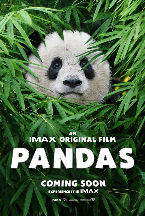 1000 piece jigsaw puzzle for the movie poster: Pandas (2018)
