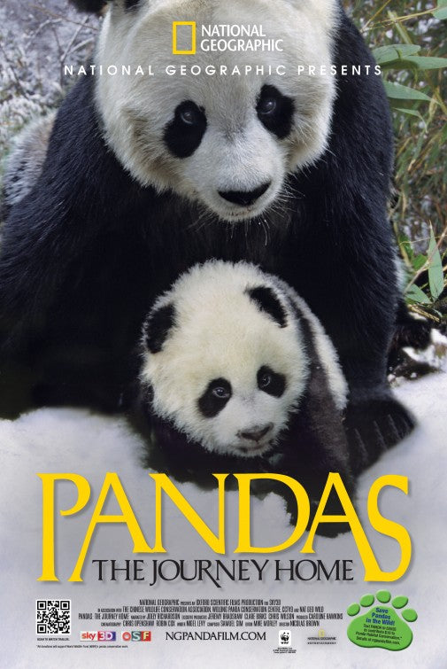 1000 piece jigsaw puzzle for the movie poster: Pandas: The Journey Home (2014)