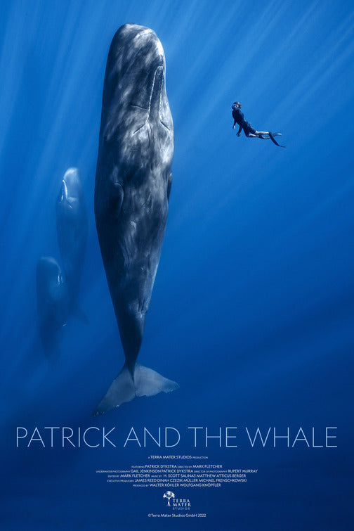 1000 piece jigsaw puzzle for the movie poster: Patrick and the Whale (2022)