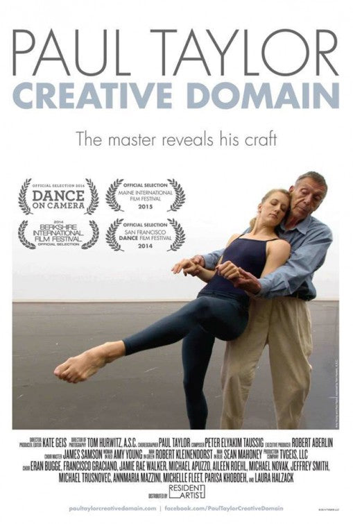 1000 piece jigsaw puzzle for the movie poster: Paul Taylor Creative Domain (2015)