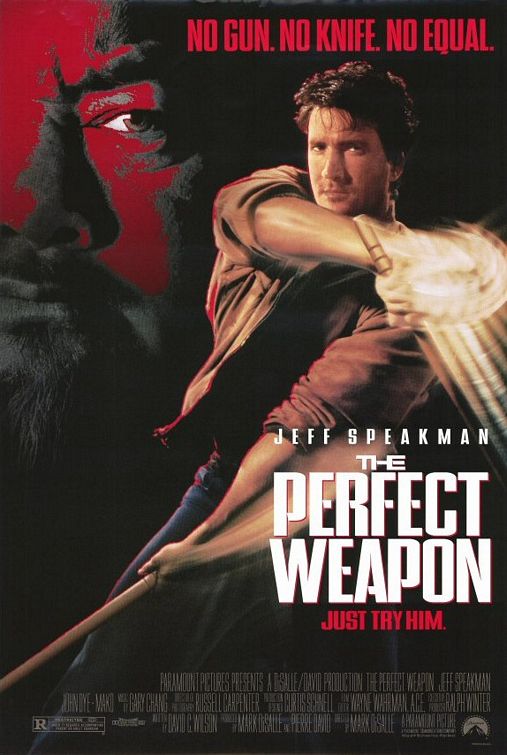 the movie poster: The Perfect Weapon (1991)
