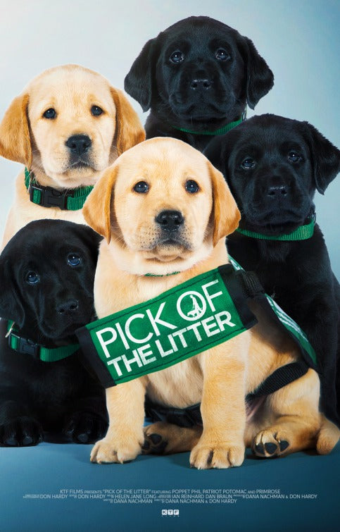 1000 piece jigsaw puzzle for the movie poster: Pick of the Litter (2018)