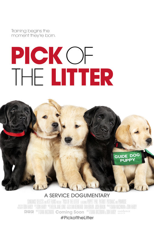 1000 piece jigsaw puzzle for the movie poster: Pick of the Litter (2018) ver2