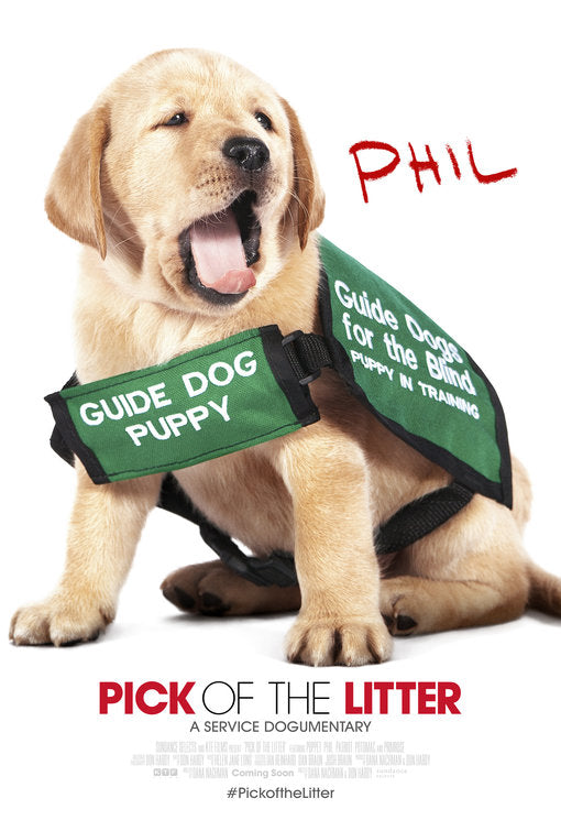1000 piece jigsaw puzzle for the movie poster: Pick of the Litter (2018) ver4
