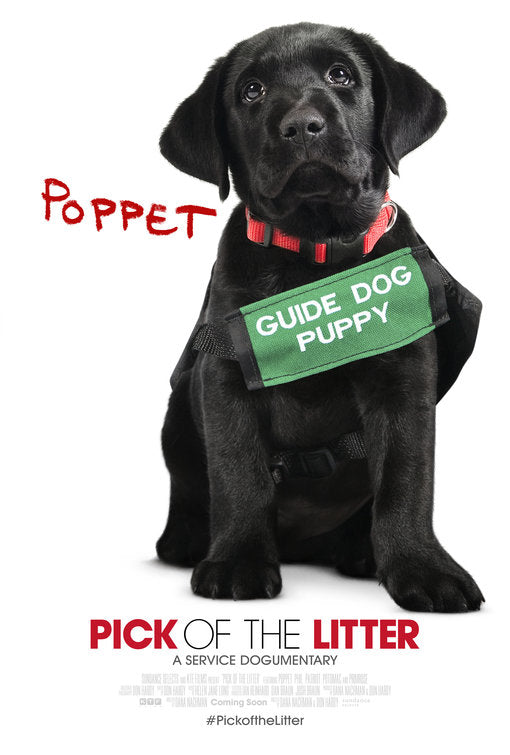 1000 piece jigsaw puzzle for the movie poster: Pick of the Litter (2018) ver5