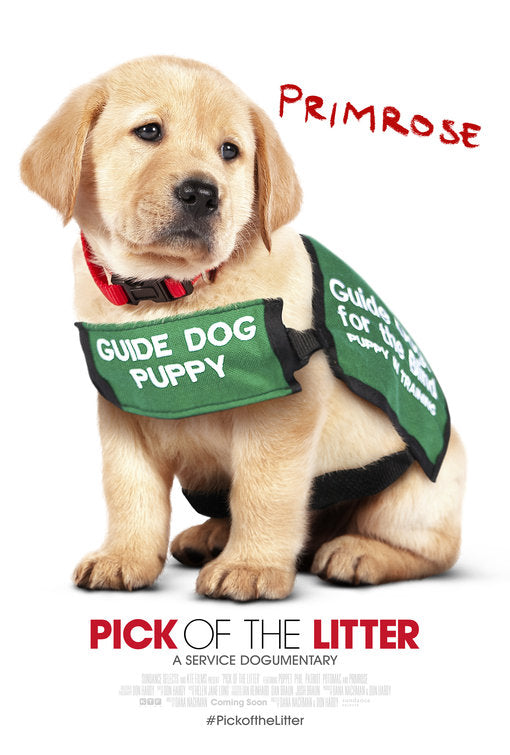 1000 piece jigsaw puzzle for the movie poster: Pick of the Litter (2018) ver7
