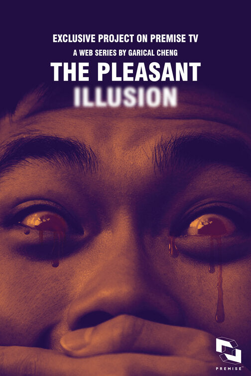 1000 piece jigsaw puzzle for tv poster: The Pleasant Illusion