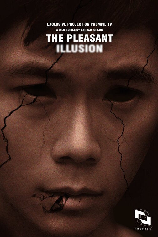 1000 piece jigsaw puzzle for tv poster: The Pleasant Illusion, ver2
