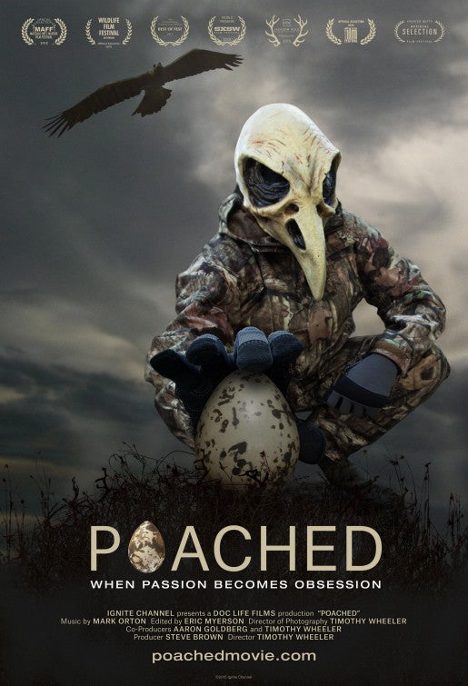 1000 piece jigsaw puzzle for the movie poster: Poached (2015)
