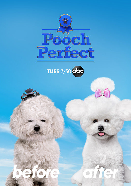 1000 piece jigsaw puzzle for tv poster: Pooch Perfect
