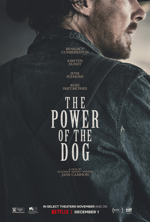 1000 piece jigsaw puzzle for the movie poster: The Power of the Dog (2021)