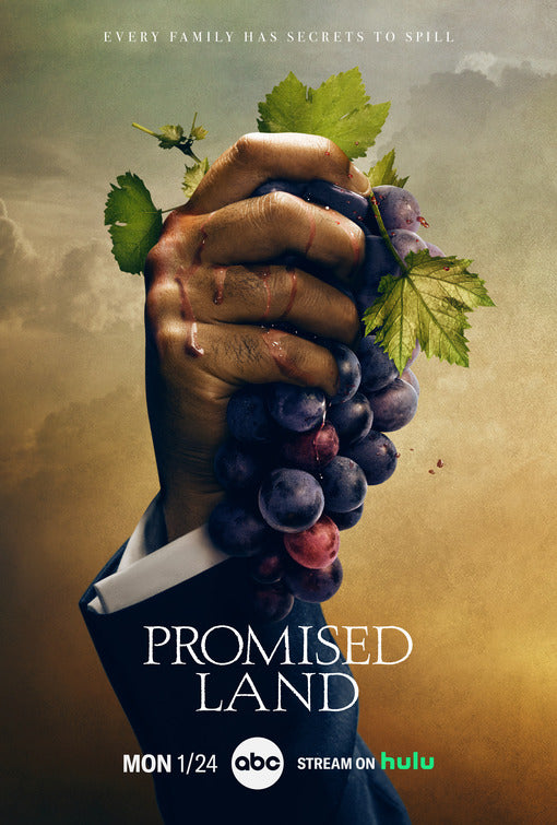 1000 piece jigsaw puzzle for tv poster: Promised Land, ver2
