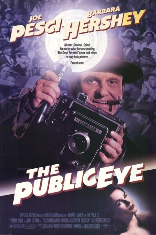 the movie poster: The Public Eye (1992)