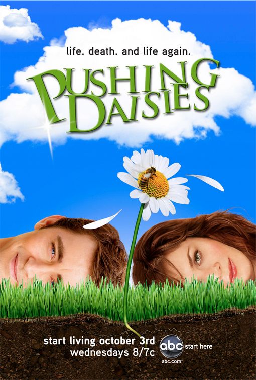 1000 piece jigsaw puzzle for tv poster: Pushing Daisies