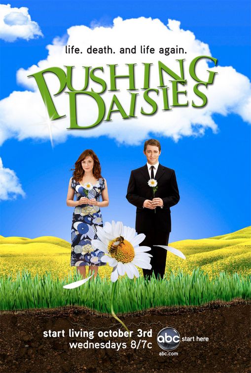1000 piece jigsaw puzzle for tv poster: Pushing Daisies, ver2