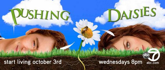 1000 piece jigsaw puzzle for tv poster: Pushing Daisies, ver3