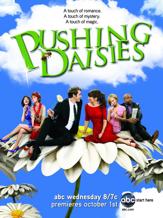 1000 piece jigsaw puzzle for tv poster: Pushing Daisies, ver4
