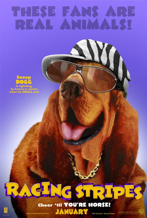 the movie poster: Racing Stripes (2005) ver7