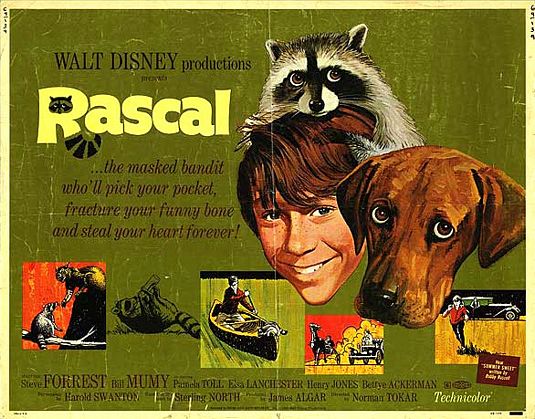 the movie poster: Rascal (1969) ver2