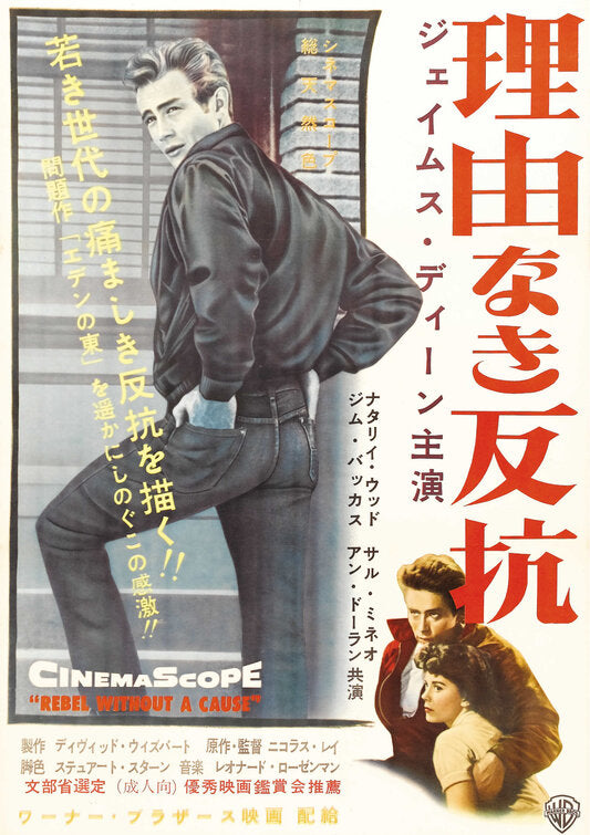 1000 piece jigsaw puzzle for the movie poster: Rebel Without a Cause (1955) ver10