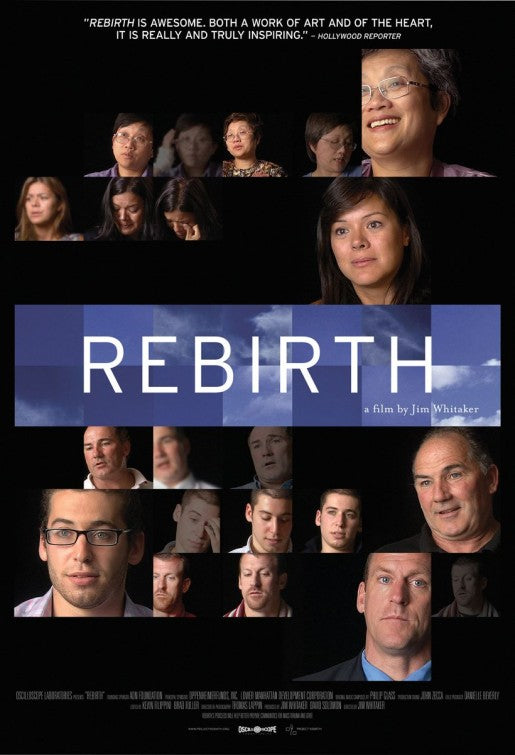 1000 piece jigsaw puzzle for the movie poster: Rebirth (2011)