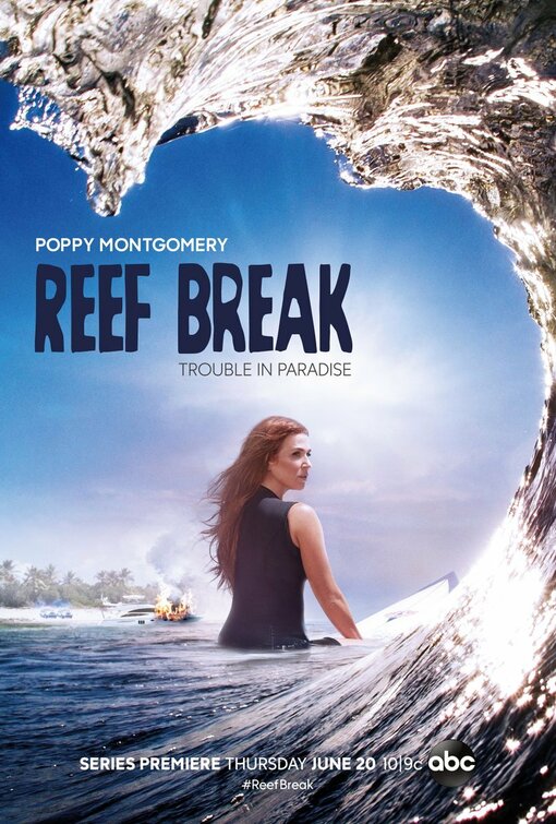 1000 piece jigsaw puzzle for tv poster: Reef Break