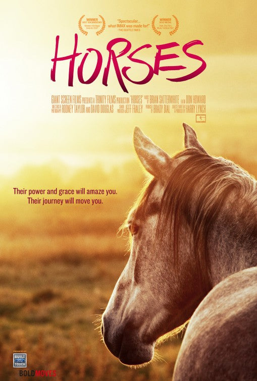 1000 piece jigsaw puzzle for the movie poster: Horses (2006) ver2