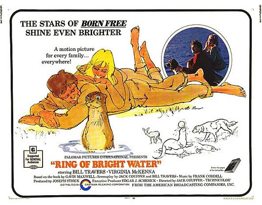 the movie poster: Ring of Bright Water (1969)