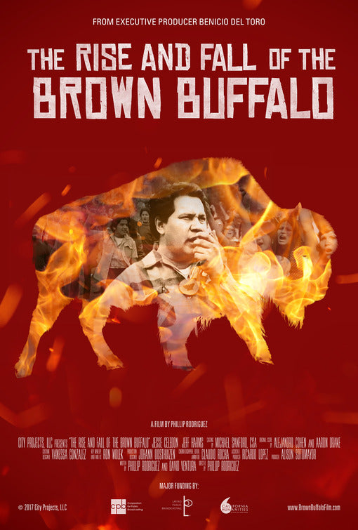 1000 piece jigsaw puzzle for the movie poster: The Rise and Fall of the Brown Buffalo (2017)